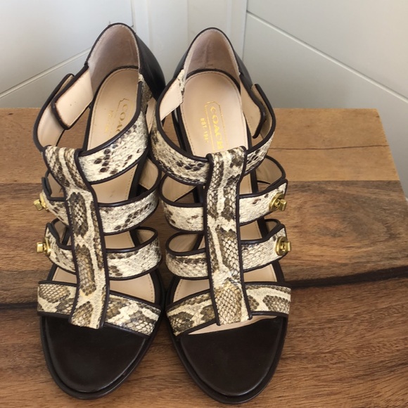 Stunning snakeskin print Tamarah heeled sandal with turn locks. - Picture 12 of 17